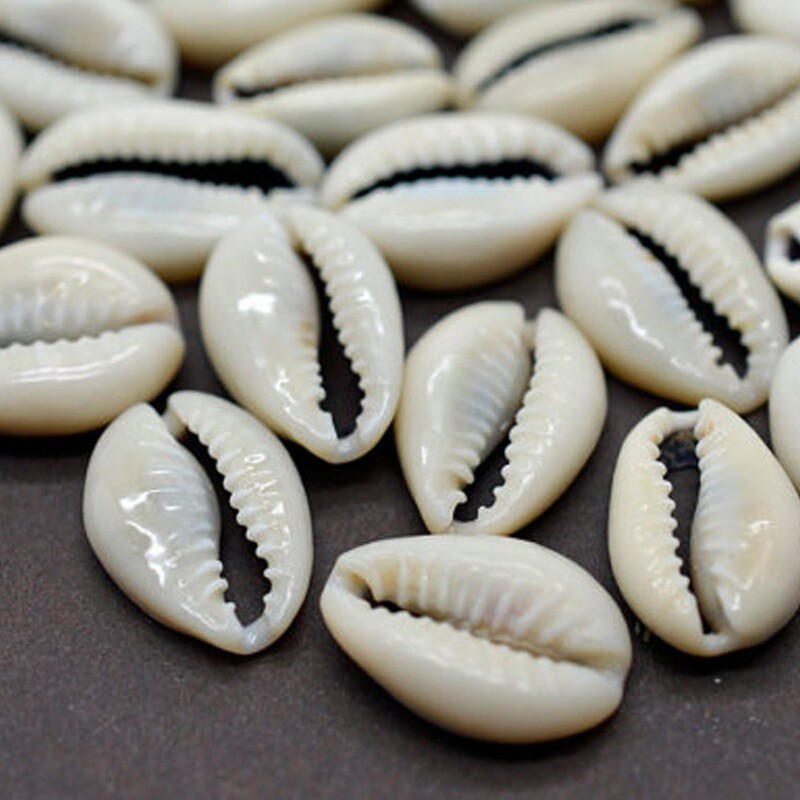 100Pcs White DIY Sea Shell Cowrie Cowry Charm Beads Beach