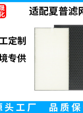 适用夏普净化器滤网KC-BB20-W/KC-CD20-2活性碳高效hepa过滤芯