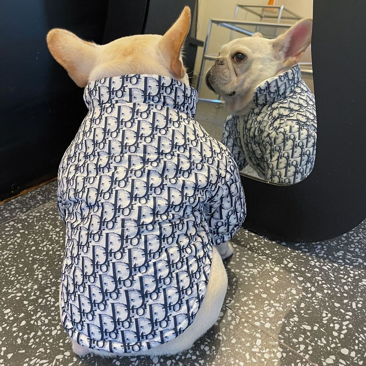 跨境速卖通宠物潮牌狗狗棉衣法斗巴哥雪纳瑞防水防雪防风满印雨衣