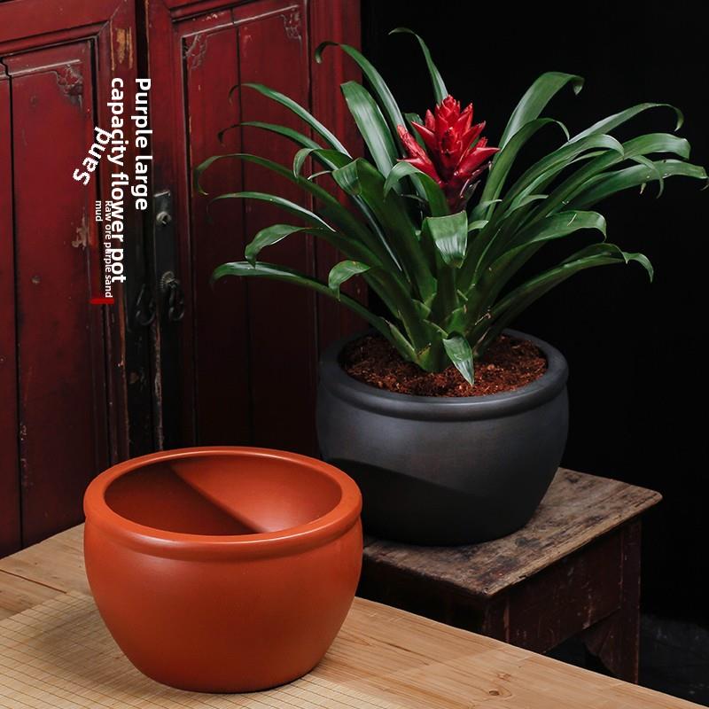 兰花花盆Clivia吊兰芦笋竹盆景绿色植物中式室内精品铜钱草碗莲花