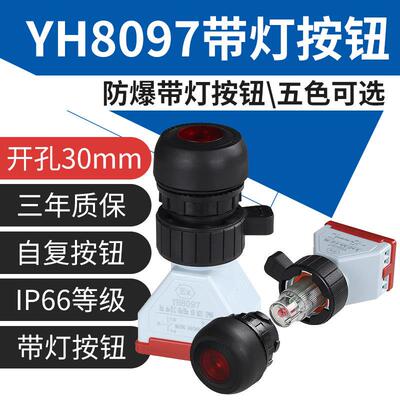 YH8097防爆带灯按钮24V220V防爆箱板后安装带指示灯控制按钮开 关
