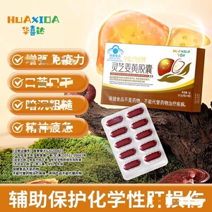 华喜达中和鸿业牌灵芝姜黄皎囊曾强免疫力养干护干辅助调节肝虚弱