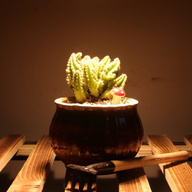 E27全光谱植物补光灯仿太阳全光谱室内家用吊灯多肉上色生长led灯