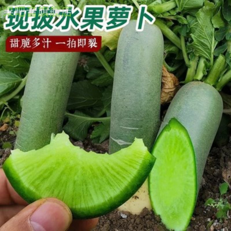 正宗水果萝卜甜脆水果型青皮萝卜青萝卜5斤9斤新鲜生吃即食,水产肉类/新鲜蔬果/熟食,萝卜/胡萝卜,淘宝优惠券,粉丝福利购,淘宝优惠卷