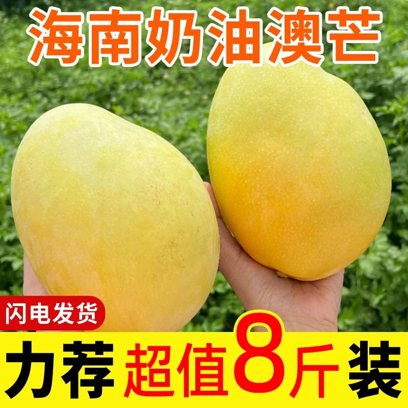 海南奶油澳芒三亚特产核薄肉厚国产特大黄皮澳芒新鲜热带水果新鲜