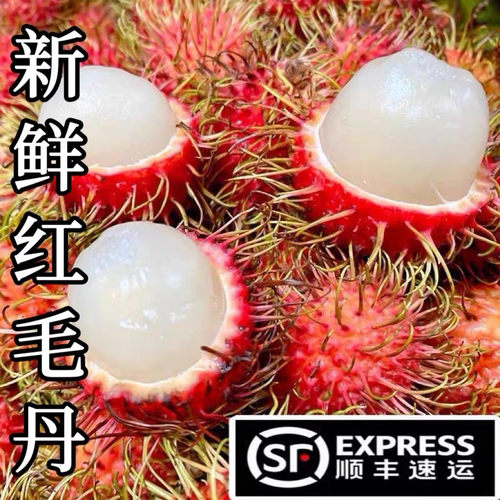 【顺丰冷链】海南红毛丹毛荔枝现摘当季新鲜孕妇水果甜包邮包赔