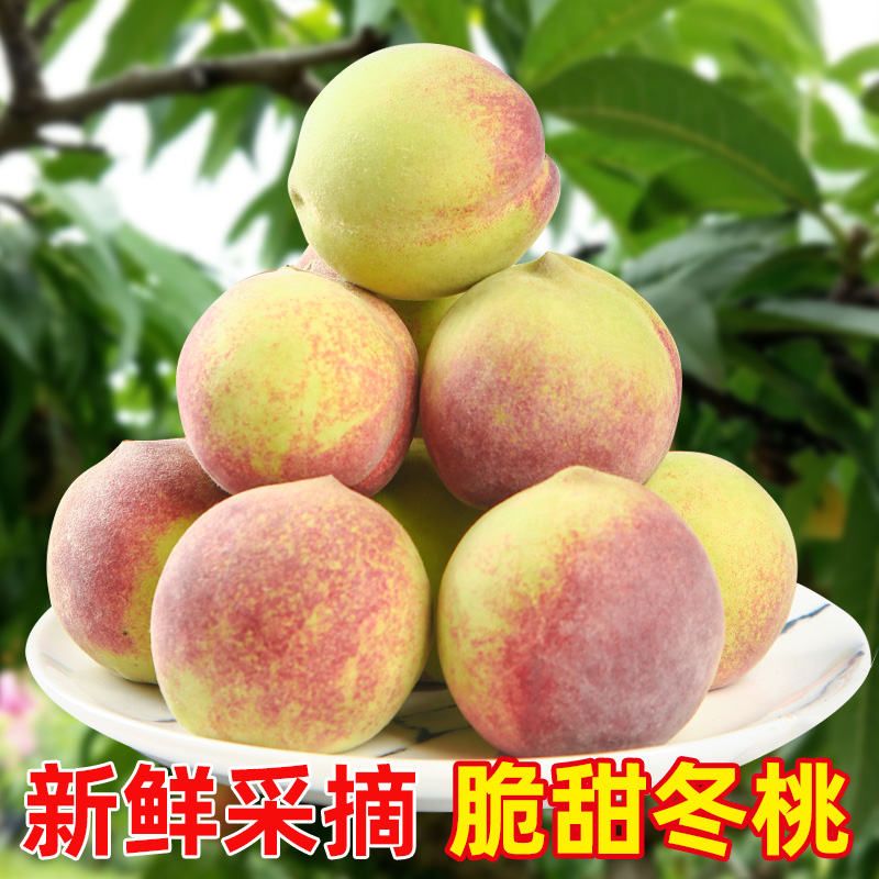 山东冬桃新鲜水果孕妇桃子青州蜜雪桃毛桃沂蒙山区晚熟脆甜小冬桃