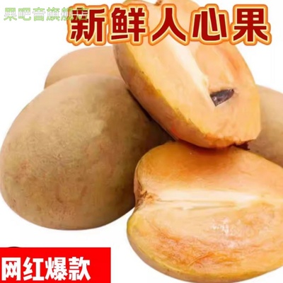当季现摘人心果 清甜爆汁 整箱新鲜直达 产地直发包邮