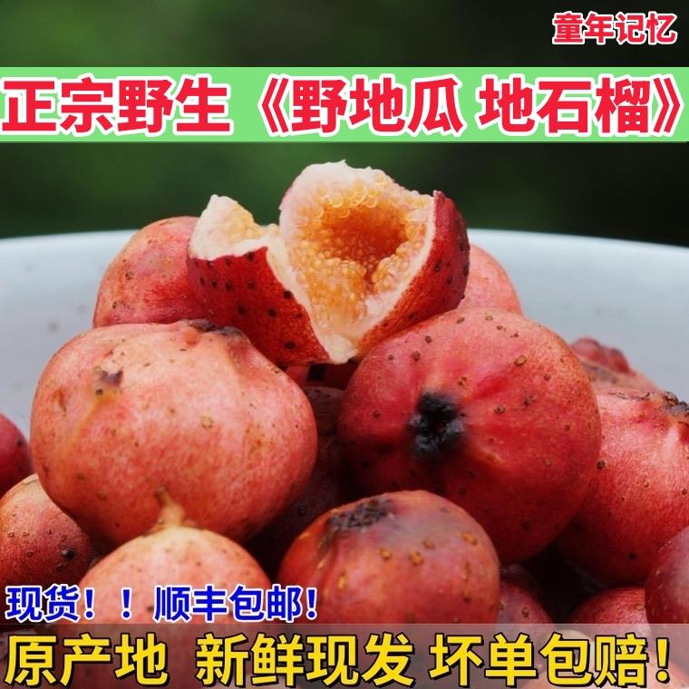野地瓜果子四川野生小地瓜新鲜水果地枇杷石榴果儿时美味顺丰现货