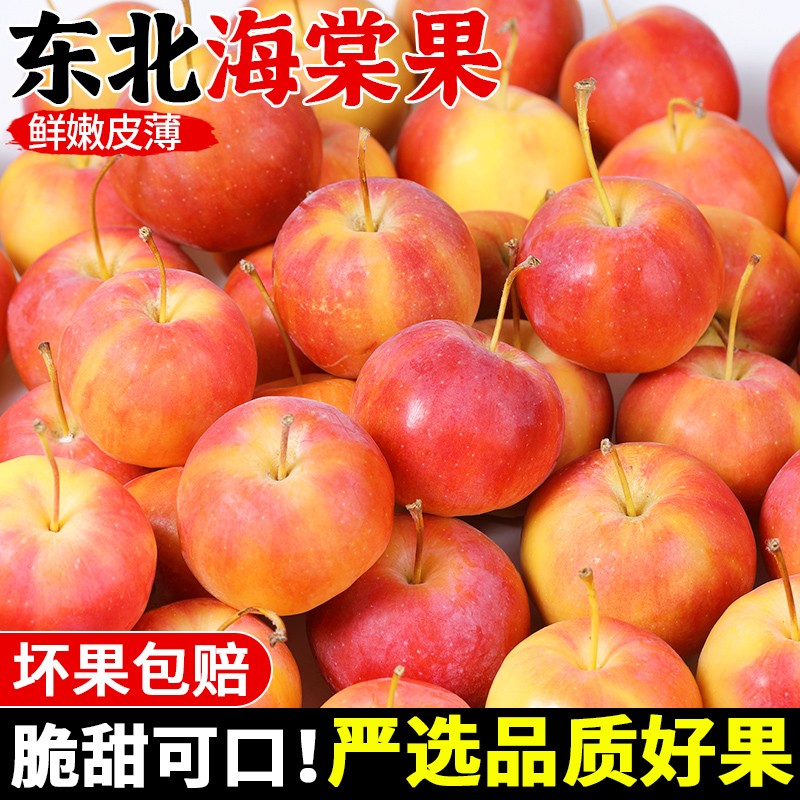 正宗东北海棠果新鲜当季水果黄太平沙果小沙果小苹果酸甜鸡心红果