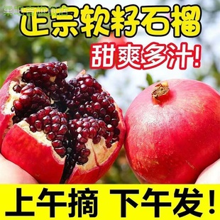 现摘突尼斯软籽石榴水果新鲜当季整箱正宗甜红宝石榴