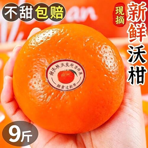 广西南宁新鲜沃柑旗舰店一级品纯甜不打蜡新鲜大水果10斤果园直发