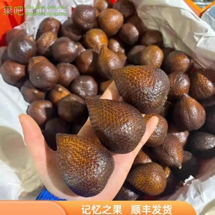 当季印尼蛇皮果新鲜水果热带沙叻记忆之果稀奇古怪水果发顺丰