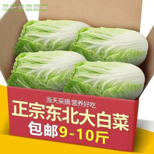 新鲜黄心大白菜农户种植小青菜可做辣白菜酸菜包黄心菜