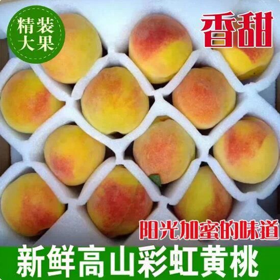 2026现摘湖北高山彩虹黄桃纯甜新鲜水果蜜桃现摘超甜红心桃子脆桃