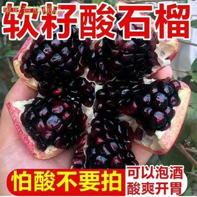 现摘软籽酸石榴 无籽易剥清甜爆汁 整箱新鲜现发 产地直发包邮
