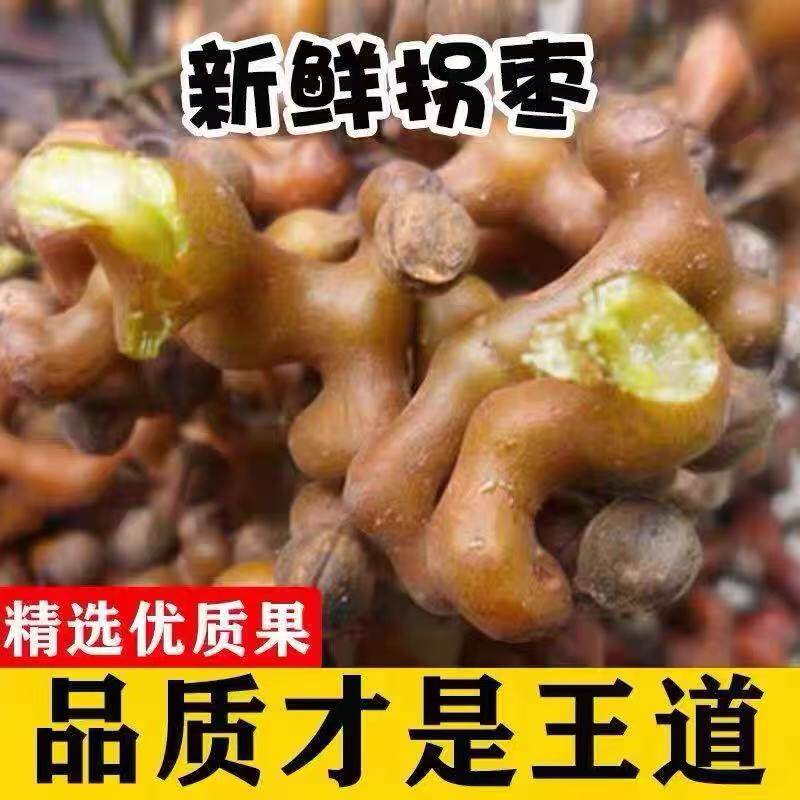 2026新鲜鲜摘果野生拐枣万寿果金钩子鸡爪梨生吃泡酒干果5斤包邮