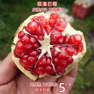 果蜜蜜净皮甜石榴新鲜水果临潼石榴当季薄皮红籽一级果甜多汁