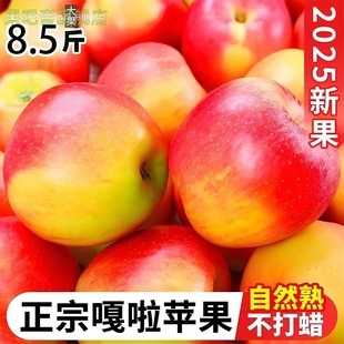 嘎啦苹果新鲜水果当季整箱8.5斤陕西红富士脆冰糖丑青小苹果包邮