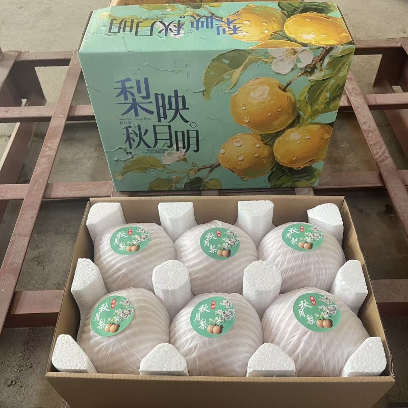 【秋月梨】正宗莱阳秋月大果新鲜水果黄梨多汁4.5斤新鲜脆甜多汁