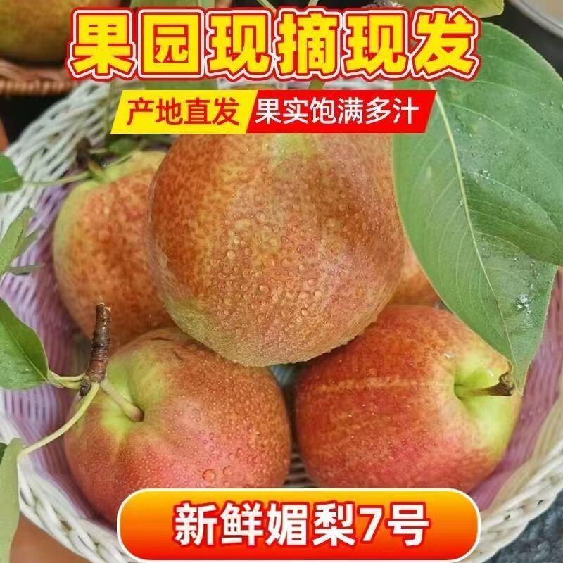 年新鲜山东媚梨7号特产七号梨鸭梨香甜皮薄汁多无渣产地阳信