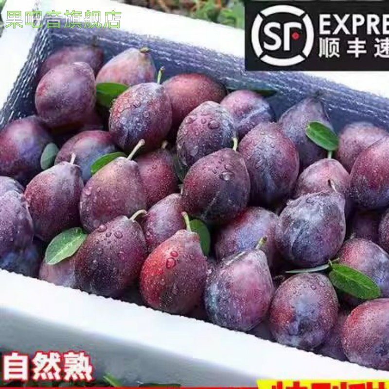 25年正宗西梅水果新鲜西梅超甜孕妇布林李子大顺丰/京东包邮