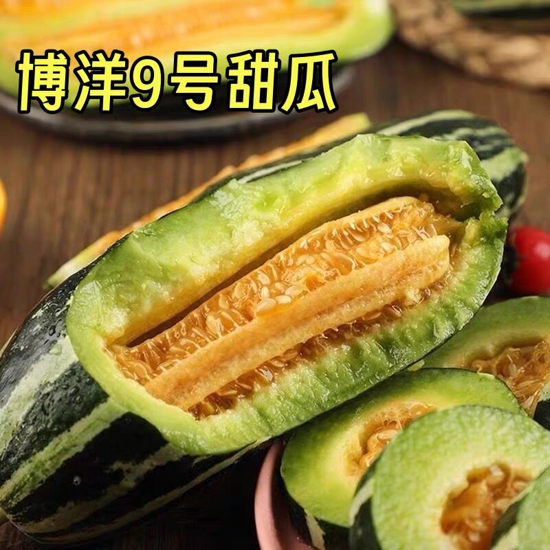 顺丰包邮山东博洋蜜9号甜瓜博洋9羊角蜜甜瓜当季新鲜水果5斤