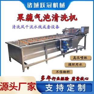香菇松茸喷淋清洗机 蘑菇地皮菜清洗机 韭菜菠菜清洗流水线设备