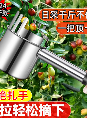 2024新款摘酸枣神器不锈钢加长山枣采摘专用收集工具蓝莓野果杨梅
