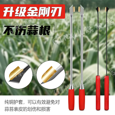抽蒜苔神器 蒜薹收割刀 抽蒜器拔剥提蒜苔划蒜苗摘蒜苗的工具