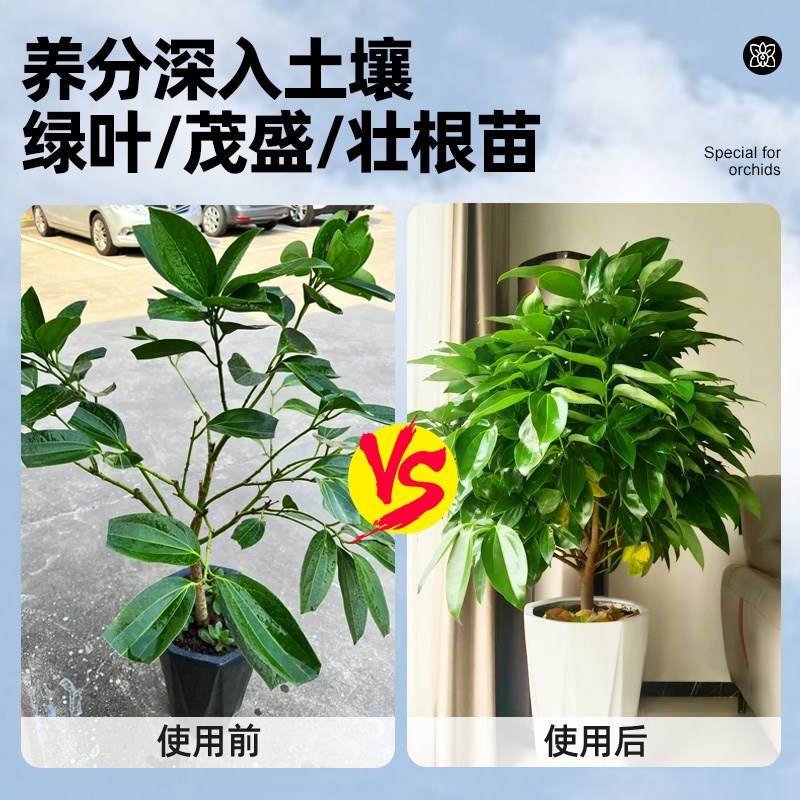 平安树专用缓释肥发财树花卉植物颗粒盆栽客厅盆景室内绿植通用型
