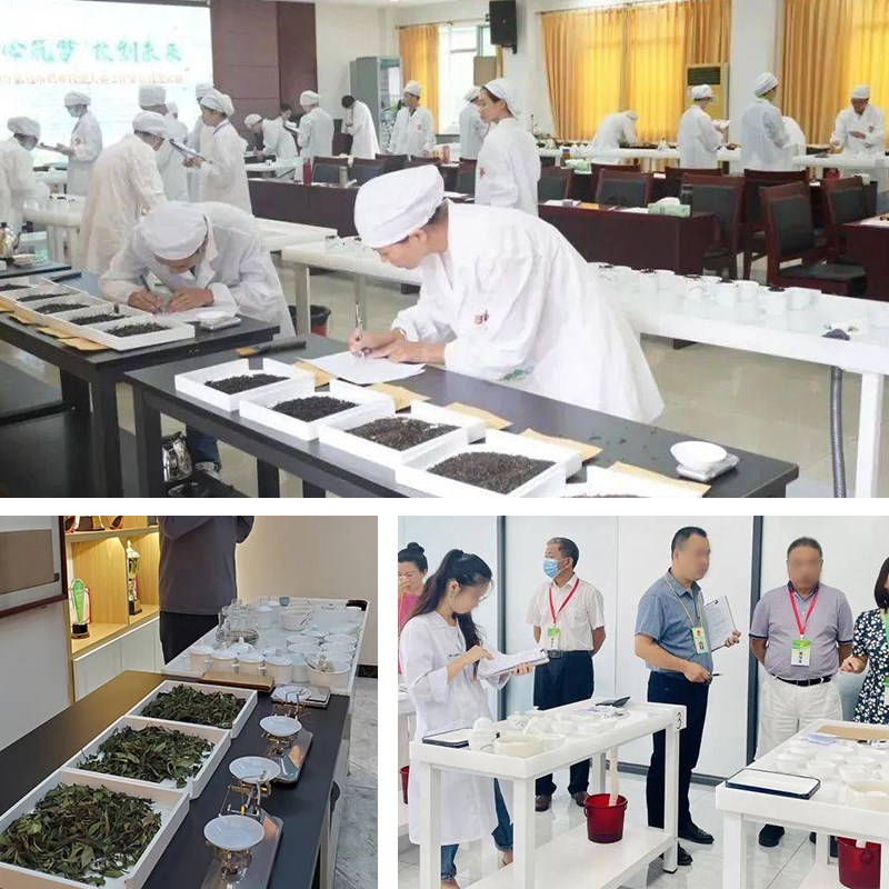 茶叶评审台认证标准型层湿评台培训国家标准干平台评茶具