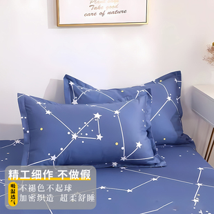枕头套一对成人枕头枕芯单人48x74cm拆洗套可学生宿舍家用芯枕套