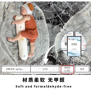 轻奢高级感卧室地垫大面积全铺室内垫子床边坐垫 地毯客厅2024新款