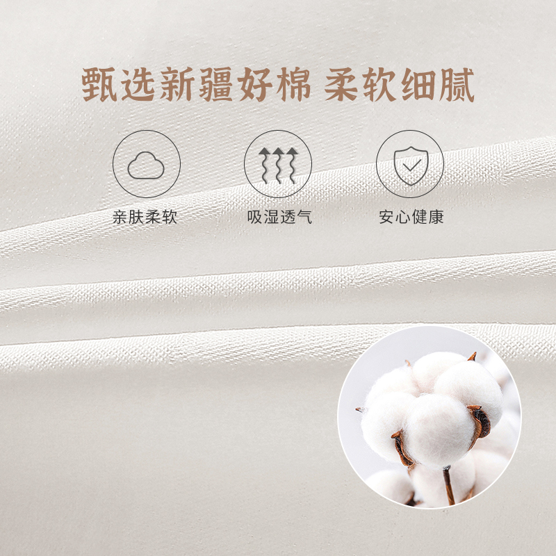 枕套枕头内胆套一对装枕芯套装茶叶填充物加厚白色沙发抱枕套