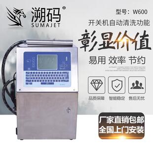 源头工厂W600全自动喷码机喷墨打印生产日期打码小字符喷码机