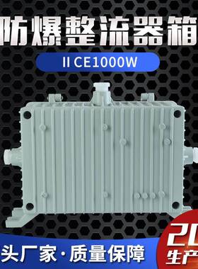 防爆整流器箱ⅡCe1000W防爆应急电源箱防爆接线箱防爆箱耐震