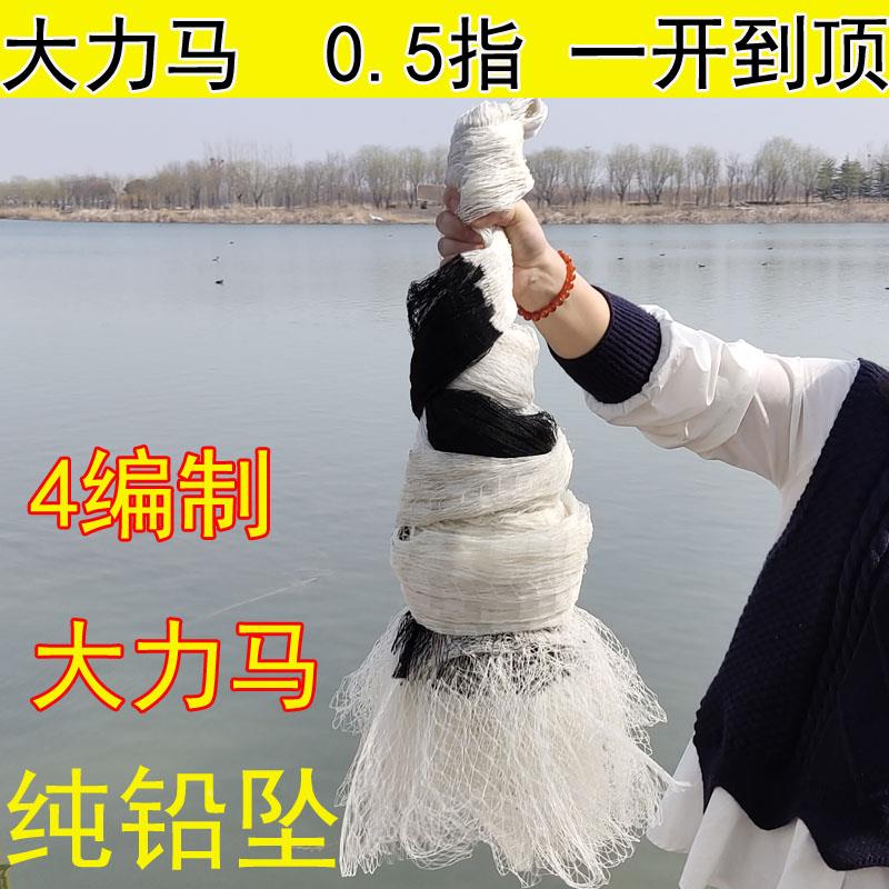 大力马撒网小眼半指OCS网05指白条网机织开顶渔工网抓.鱼铅坠非手
