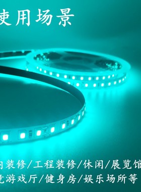 冰绿色灯带12v绿色led灯条马尔斯绿5米贴片自粘套管防水电竞网咖