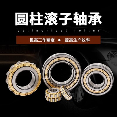 哈尔滨wbz正品原厂 RN228 M ECM减速偏心轴承