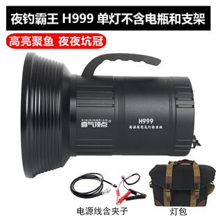 顶点夜钓灯大功率氙气灯黑坑暖黄钓鱼灯超亮诱鱼疝气垂钓台钓翘嘴