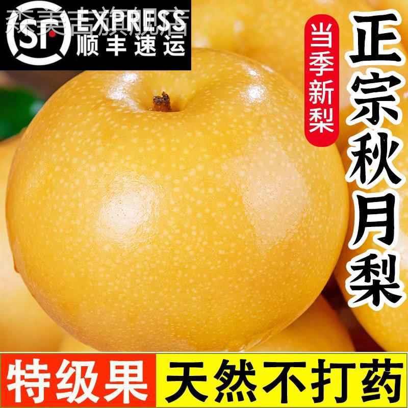 正宗山东莱阳秋月梨整箱10斤梨子脆甜现摘当季新鲜水果礼盒装包邮