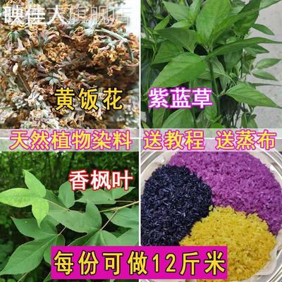 广西五色糯米饭植物染料枫香叶红蓝草三月三清明节黄饭花黑橙紫黄