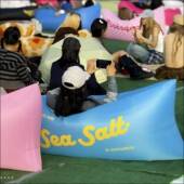 充气沙Cqsf 1发懒人户外可携式 气垫节床野餐充音露营气床垫空气床