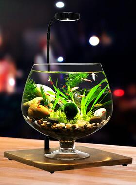 脚杯生态瓶高鱼免换水打理i微桌景MWD观科学用dy作业办公面造景鱼