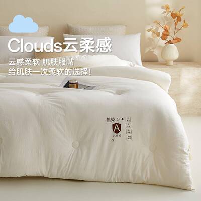 卧高端A类大豆纤维冬季厚被子双人室春秋被褥被芯1POL502000xx23c