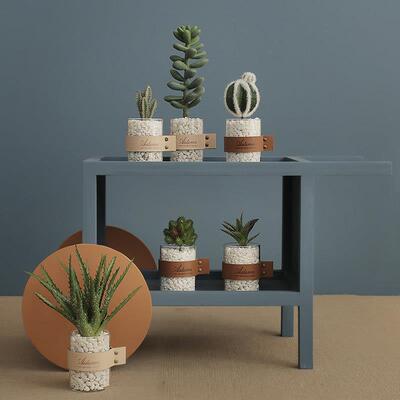 ins网红彷真多肉植物盆栽摆件家居客厅摆设北欧装饰仙人掌小盆景