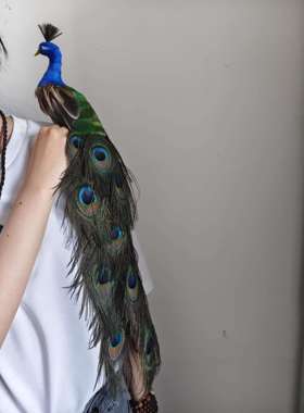 彷真孔雀节日礼品家俱摆件ins风真羽毛