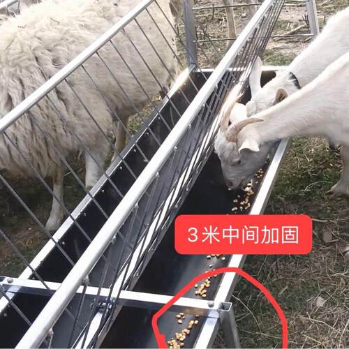 德国品质羊槽子羊食料槽双面槽单面槽羊羔槽加厚镀锌材质养羊设备