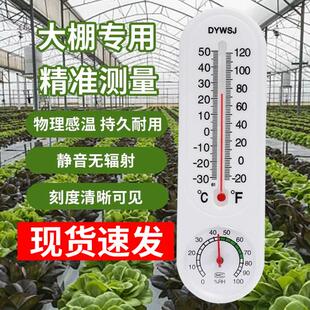 大刻度测大棚种植温度计大字体湿度表养殖专用室内蔬菜温室气温计